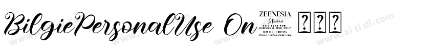 BilgiePersonalUse On字体转换